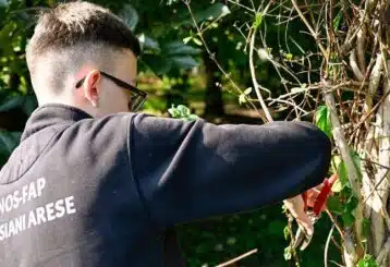 operatore agricolo arese